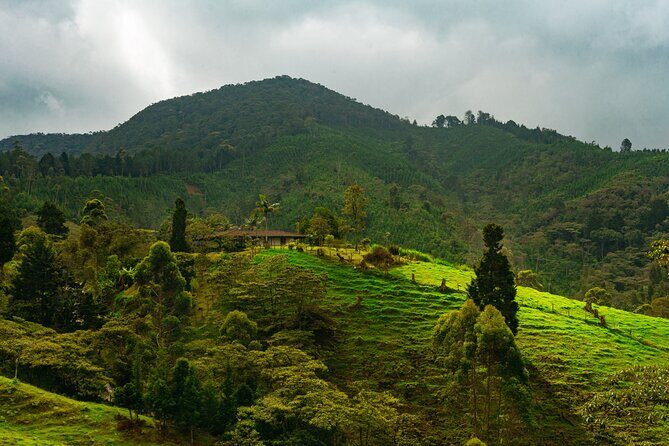 100-Year-Old family-run Finca: Horseback Riding & More - A 7:00 am Finca Escape From Medellín That Actually Feels Worth It