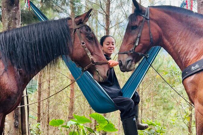 100-Year-Old family-run Finca: Horseback Riding & More - Price and Value: What $155 Buys You in Medellín