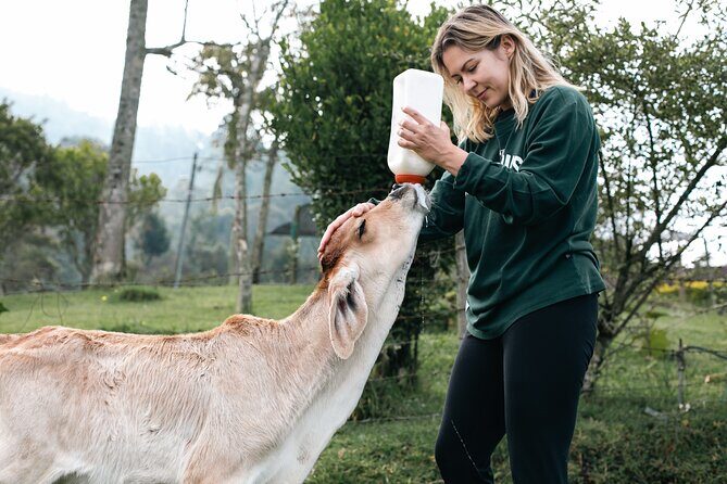 100-Year-Old family-run Finca: Horseback Riding & More - Timing and Weather: Plan for Hills and a Schedule That Follows Nature