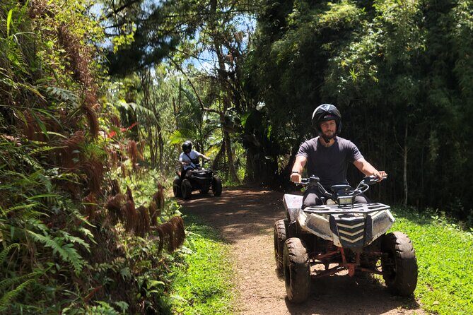 ATV Adventure: Mountains and Forest Tour - Key highlights you’ll care about