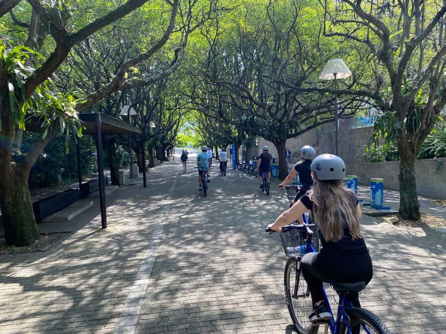Bike Tour Medellin with Snacks and Local Beer - Parque de las Luces and Plaza Botero: big-name landmarks, human scale