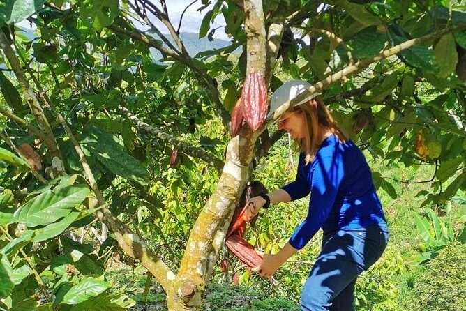 Chocolate Farm Private Tour in Medellin: Real Genuine Experience - Key highlights to look for