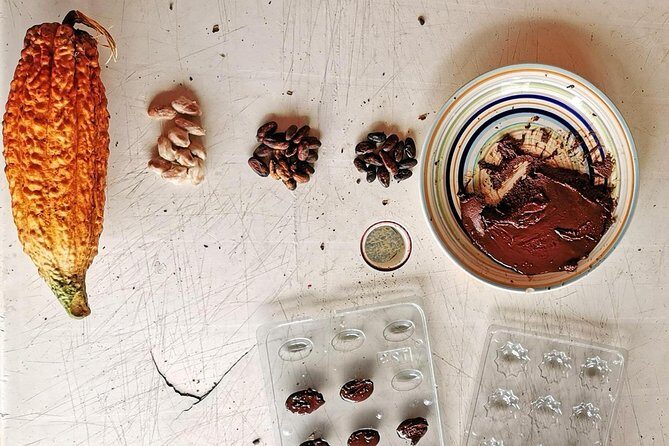 Chocolate Farm Private Tour in Medellin: Real Genuine Experience - Stop One (Medellín): the cacao farm welcome and the big-picture lessons