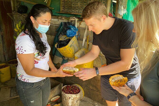 Chocolate tour near Medellin - Key highlights at a glance