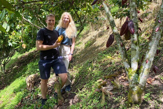 Chocolate tour near Medellin - How the Medellín chocolate day really works