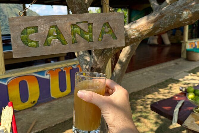 Coffee and Exotic Fruit Tour in the Medellin Mountains - Exotic fruit tasting: mango biche, sour guava, and sugar cane