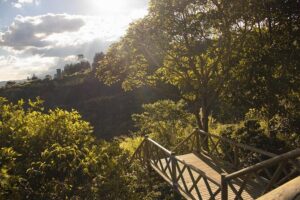 Coffee Experience from bean to cup - Bean-to-Cup at La Casa Grande: What the 5 Hours Actually Feel Like