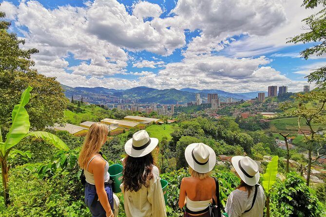 Coffee & Horses Private Tour in Medellin: A Fun & Authentic Day - Key Highlights You’ll Actually Care About
