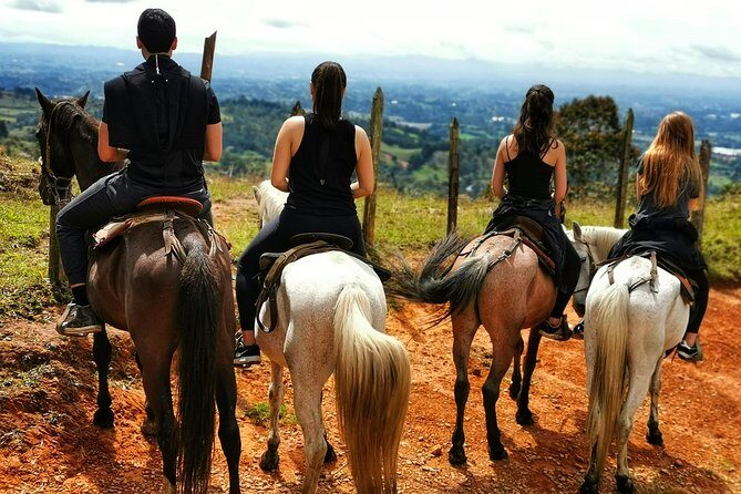 Coffee & Horses Private Tour in Medellin: A Fun & Authentic Day - Price and Value: When $179 Feels Fair