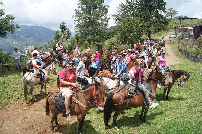 Coffee Tour In Horse Riding and Lunch In Medellin - Getting From Medellín To The Finca: Pickup, Timing, And Group Size