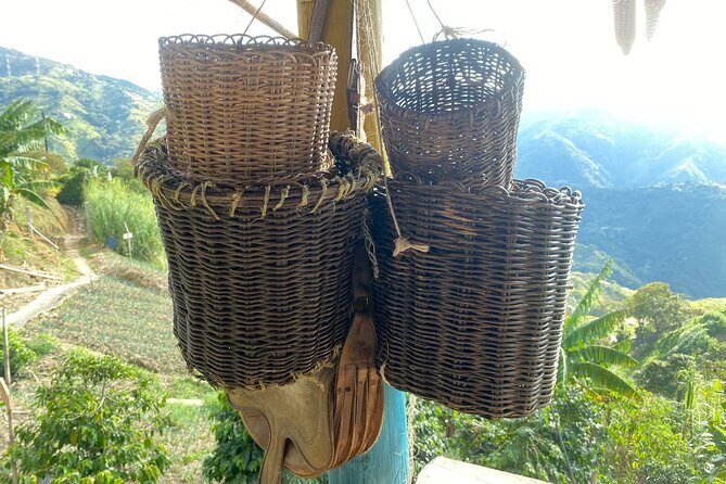 Coffee tour in Medellín with tastings and transportation - Coffee tasting with a barista: different methods, different results