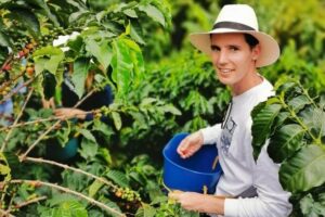 Coffee Tour in the Beautiful Jardin Town: Adventure in the Andes - Head back to Medellín: comfortable cars and a long-day rhythm