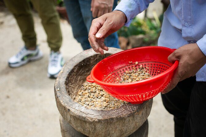 Coffee Tour with arrival on horseback and sugar cane processing - Lunch on the Hills: Traditional Food With an Unusual Setting
