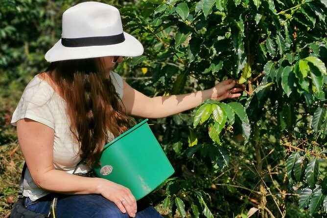 Comuna 13 & Coffee Farm Private Tour in Medellin | The Best Combo - Key Things You’ll Notice on This Medellín Combo