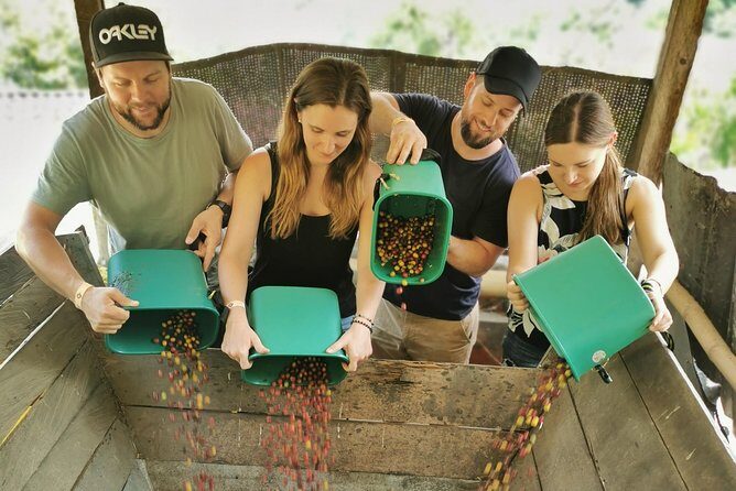 Comuna 13 & Coffee Farm Private Tour in Medellin | The Best Combo - Sabaneta Coffee Farm: A Seed-to-Cup Experience, Not a Quick Tasting
