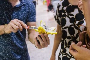 Exotic Fruit Tour - Your 2 to 2.5 hours in the market: what to expect