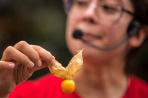 Exotic Fruits Tour - Stop 1 at the fruit market: tasting, learning, and a quick juice pause