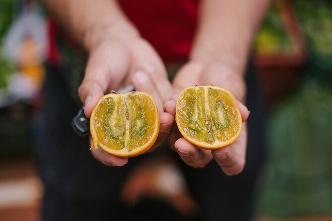 Exotic Fruits Tour - What’s included for $35: tastings, soda/pop, and fresh juice