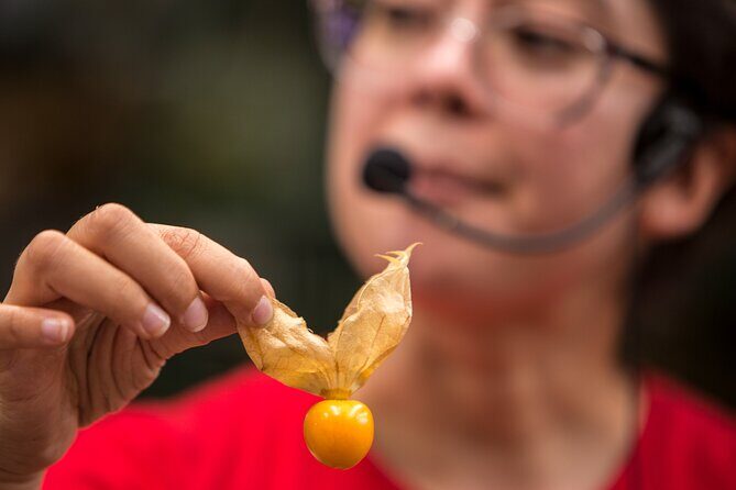 Exotic Fruits Tour - Stop 1 at the fruit market: tasting, learning, and a quick juice pause