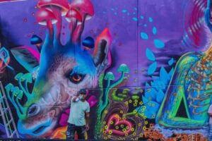 Graffiti Tour | Commune 13 guided by locals - Meeting Point, Timing, and Getting There Without Drama