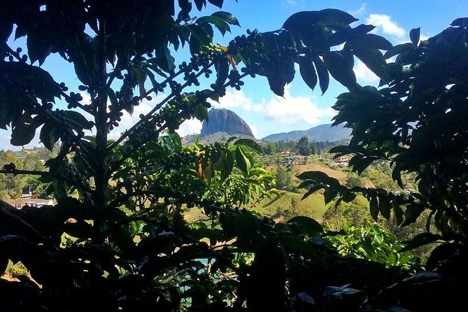 Guatape & Coffee Farm & El Peñol Rock & Quaint Town: Best Combo - Quick reasons to book this Guatapé, coffee, and fruit day trip