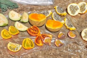 Guatape Town & Peñol Rock & Exotic Fruit Tasting | Private Tour - Parque de Marinilla Fruit Stop: A Real Tasting, Not Just a Photo Break