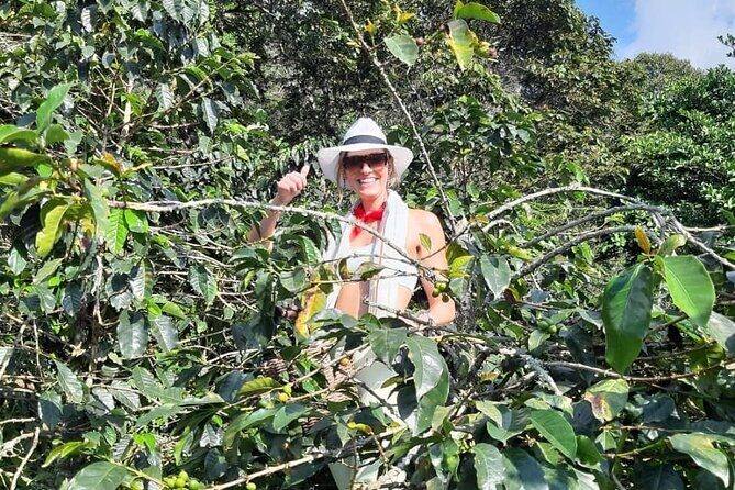 Guatape With Coffe Tours - Lunch break: a real reset, not just time filler