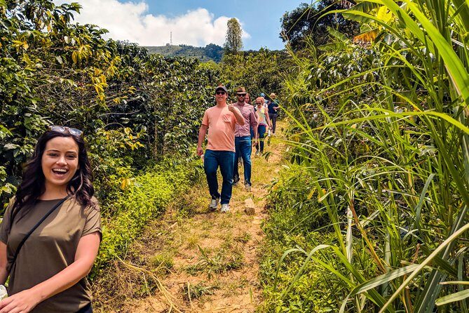 Half-Day Coffee Tour: From the Seed to the Cup, Farm & roastery - Getting to the farm: quick ride, real morning rhythm