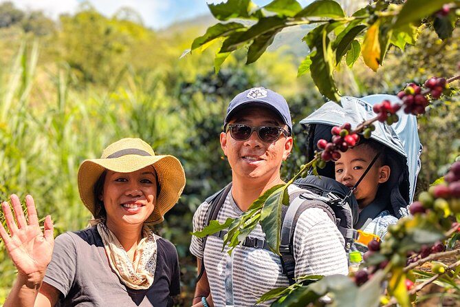 Half-Day Coffee Tour: From the Seed to the Cup, Farm & roastery - Stop 2: Specialty micro-roastery processing and roasting (the science part)