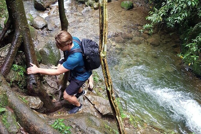 Half Day Waterfall Tour from Medellin - Chorro de las Campanas: The Main Event (and the Mud-Test)