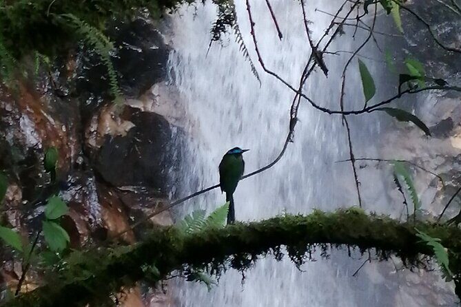 Half Day Waterfall Tour from Medellin - Price and Value: Why $49.99 Can Make Sense Here