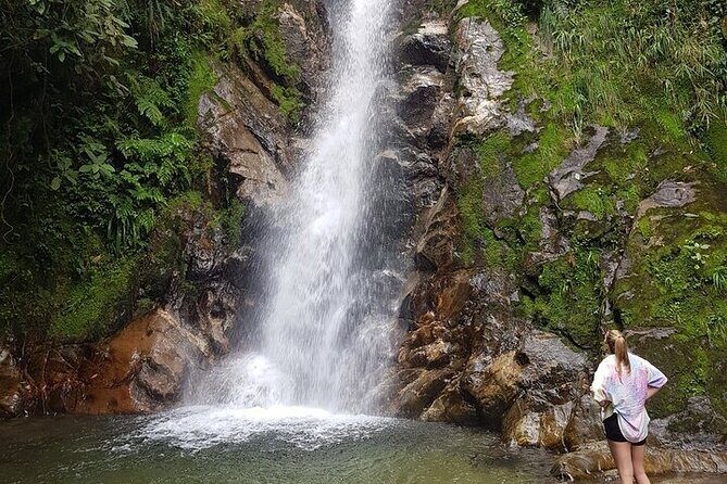 Half Day Waterfall Tour from Medellin - Should You Book This Half Day Waterfall Tour from Medellín?