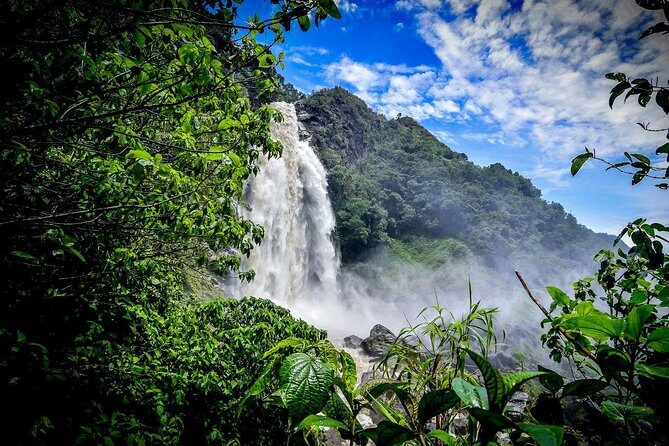 Highest Zipline of Colombia Over Mountains, Jungles & Waterfalls - Key things that make this tour worth your time