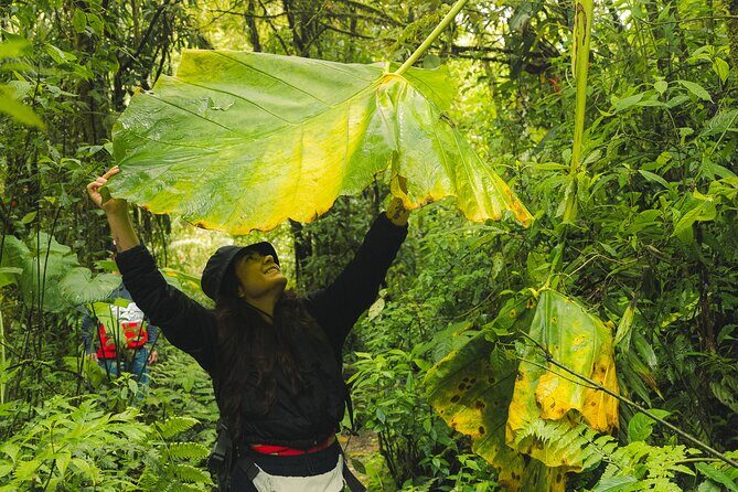 hiking medellin and hidden waterfalls - Stop 1 in Los Salados: Chorro de las Campanas and cloud-forest trails