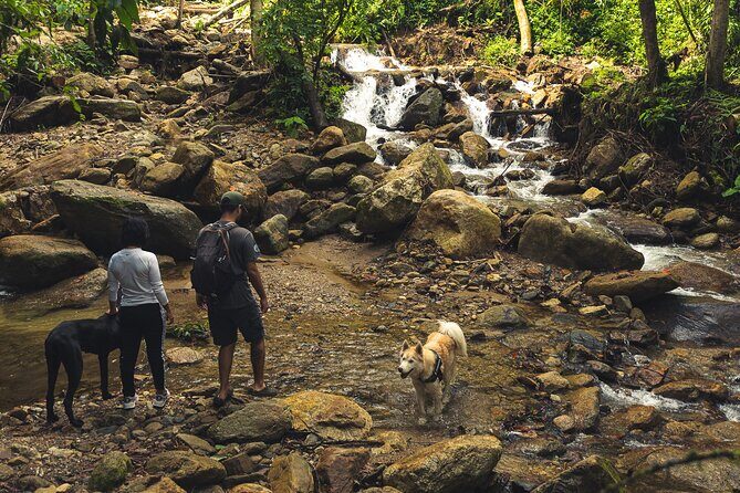 hiking medellin and hidden waterfalls - Price and value: $40 with entry tickets included