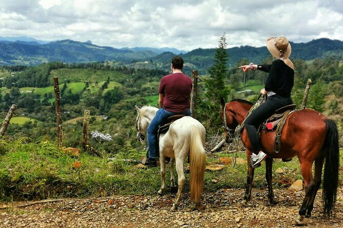 Horseback Riding in Medellin Private Tour: Great Views & Horses - Quick Picks: What Makes This Horse Tour Worth Your Time
