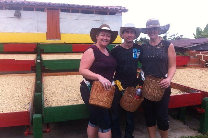 Jardin Private Day Trip: Colombian Coffee Tour from Medellin - Cable car mountain views + Antioquian lunch: rest, scenery, and good fuel