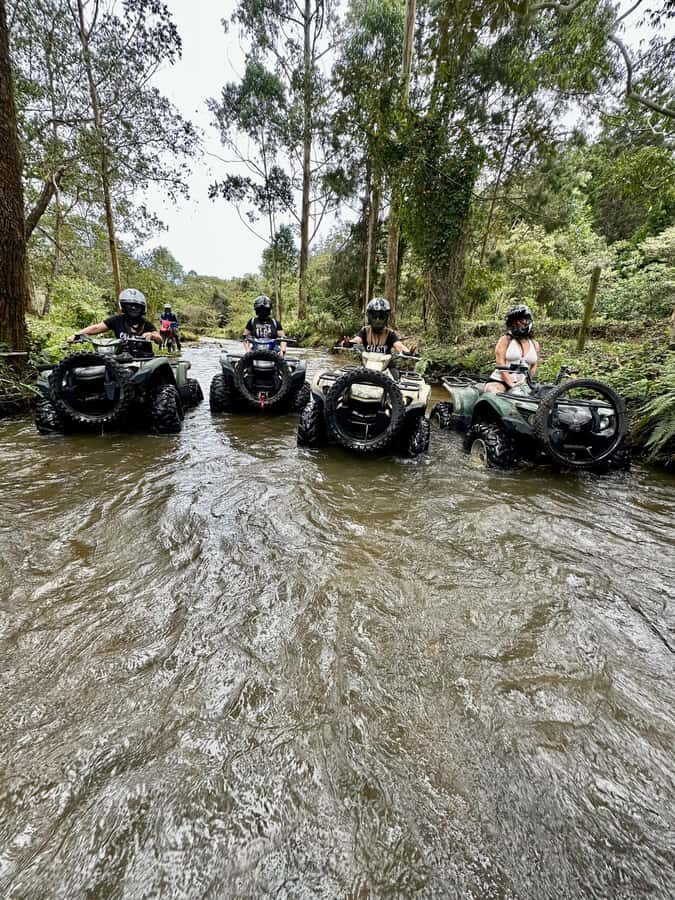 Medellin: ATV Tour 3 Mountains - What you’ll ride: automatic 450cc 4x4 ATVs and real-world control