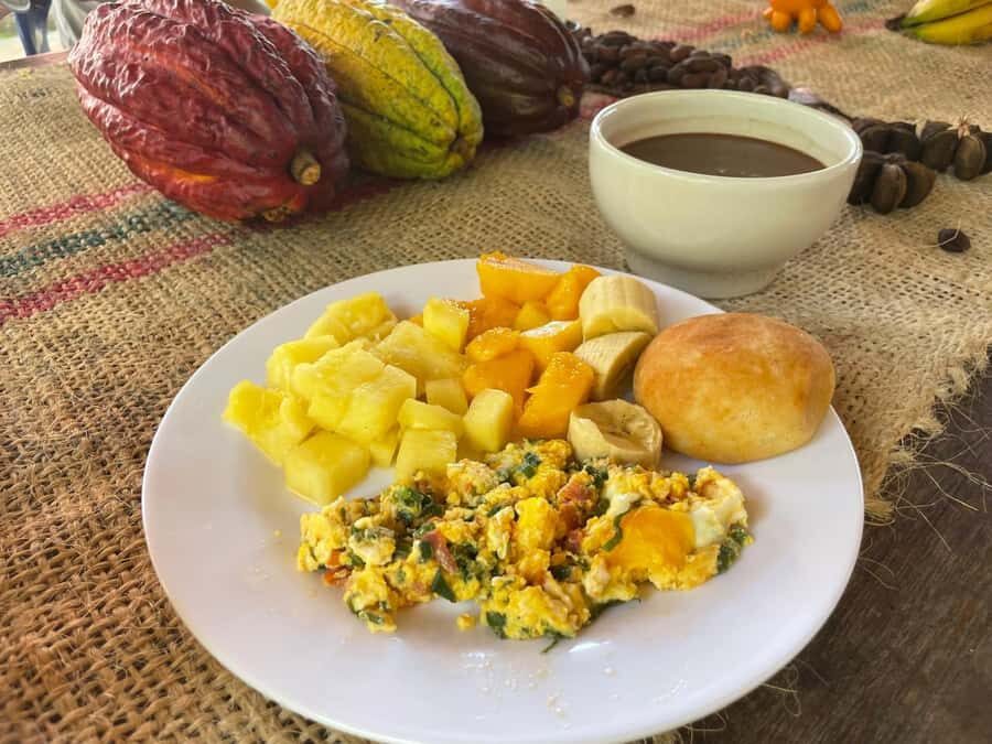 Medellín: Chocolate Tour & Exfoliation in beautiful river - Breakfast and lunch on the farm: the calories you’ll earn