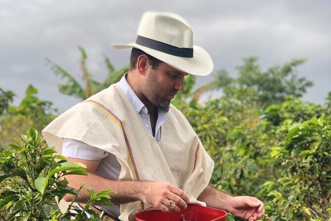 Medellin Coffee Farm Tour with Cable Car Ride - Medellín coffee, with transit rides that actually teach you