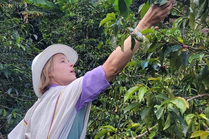 Medellin Coffee Farm Tour with Cable Car Ride - Stop 4: Casa Finca coffee tour in Barrio La Sierra