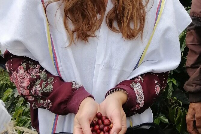 Medellin Coffee Farm Tour with Cable Car Ride - Why the seed-to-cup format feels better than a typical coffee stop