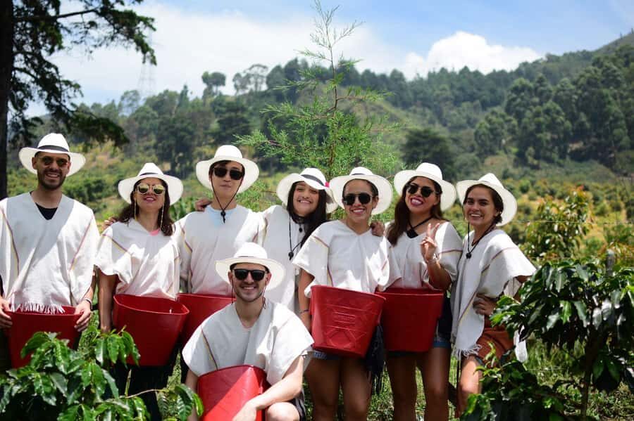 Medellín Coffee Farm Tour with Trolley and Cable Car Ride - Tramvia and cable car: the Medellín views come with the lesson