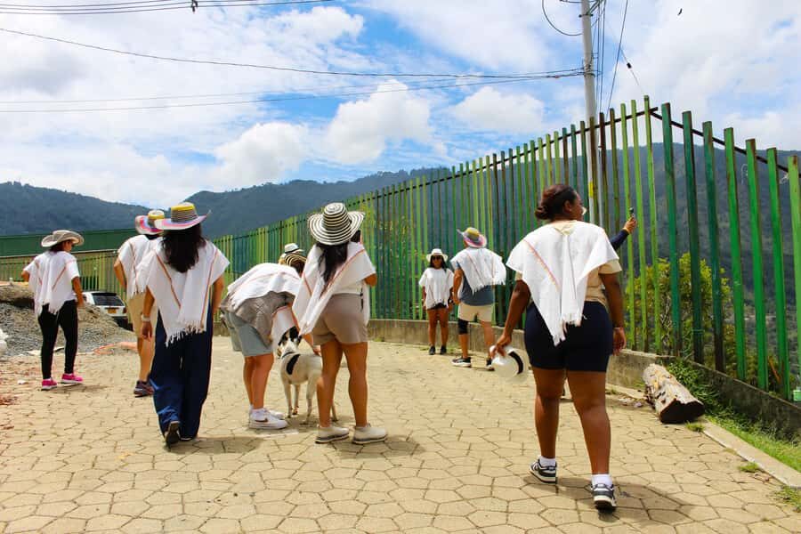 Medellín Coffee Farm Tour with Trolley and Cable Car Ride - Walking Barrio La Sierra: Comuna 8 transformation, explained on the ground