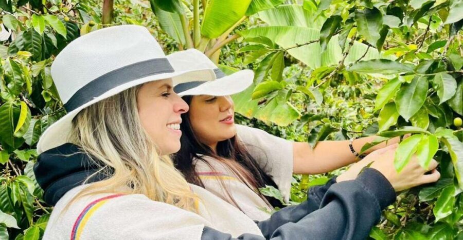 Medellín Coffee Farm Tour with Trolley and Cable Car Ride - Casa Finca de La Sierra and the museum: turning tasting into understanding