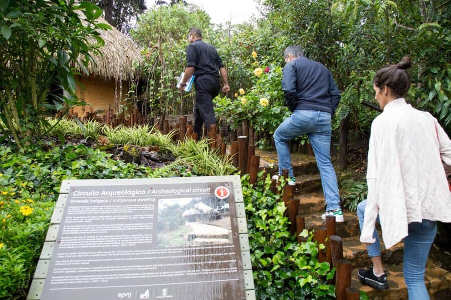 Medellin: Coffee Tour and Wellness Spa - What the massage and scrub actually feel like (and why it’s worth it)