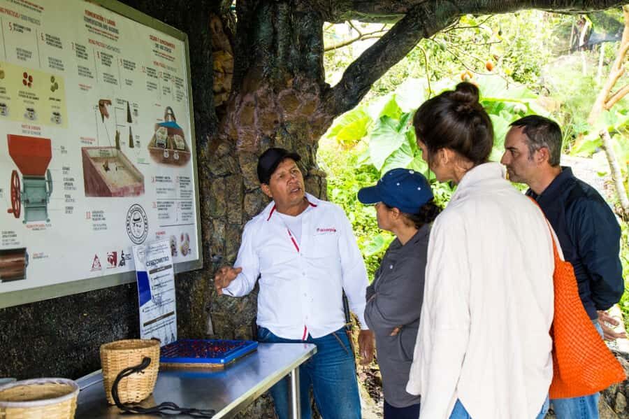 Medellin: Coffee Tour and Wellness Spa - Price and value: is $88 fair for what you get?