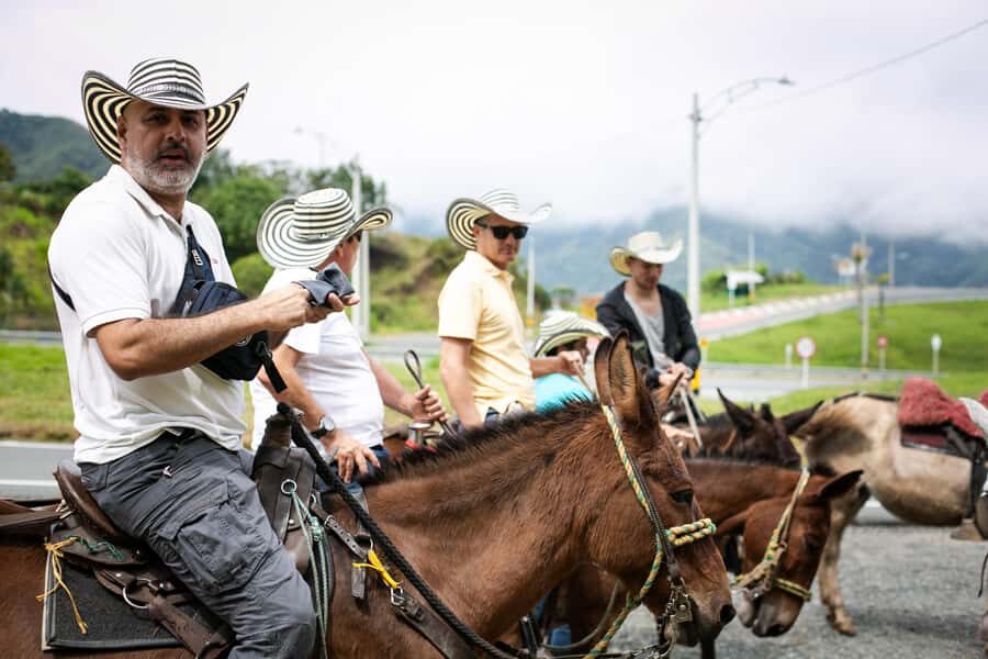 Medellin: Coffee Tour, Horseback Arrival, and Sugar Cane - Getting From El Poblado to Western Antioquia (45 Minutes That Matters)