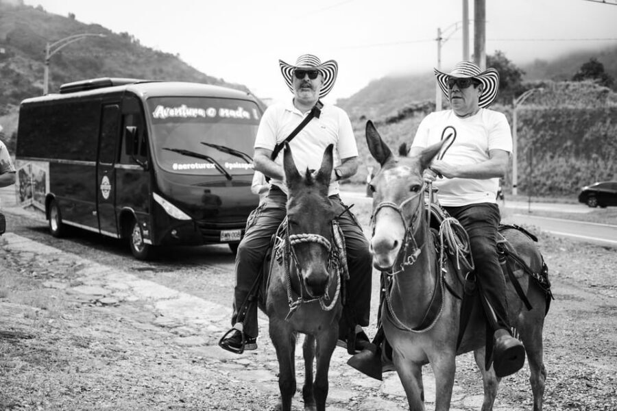 Medellin: Coffee Tour, Horseback Arrival, and Sugar Cane - Coffee Plantation Tour + Coffee Tasting (2.5 Hours of How Taste Happens)