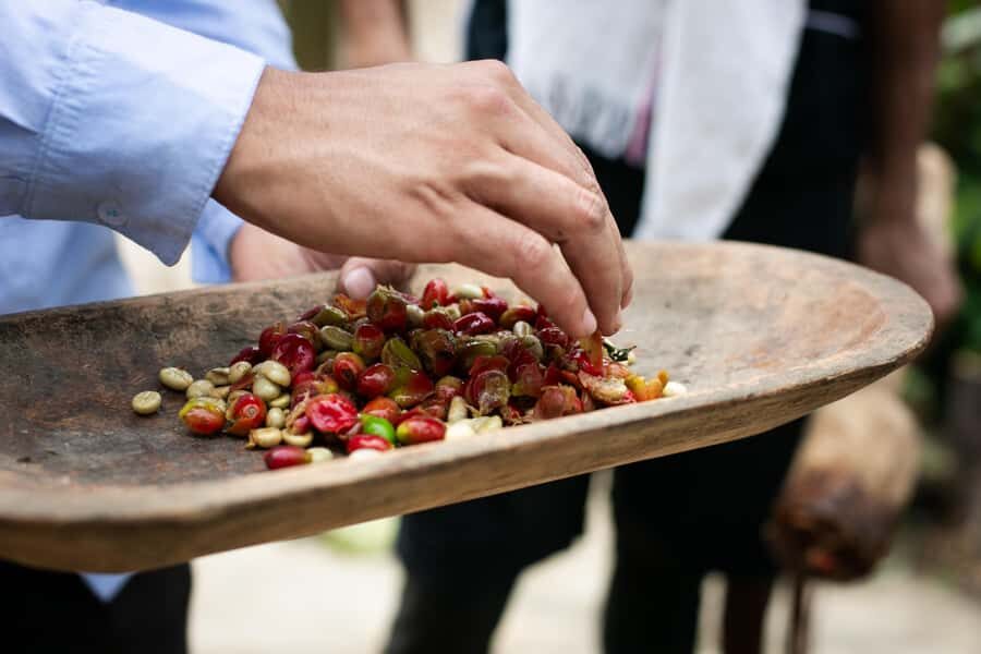 Medellin: Coffee Tour, Horseback Arrival, and Sugar Cane - Lunch With a View + an Aperitif Break (15 Minutes That Helps You Reset)
